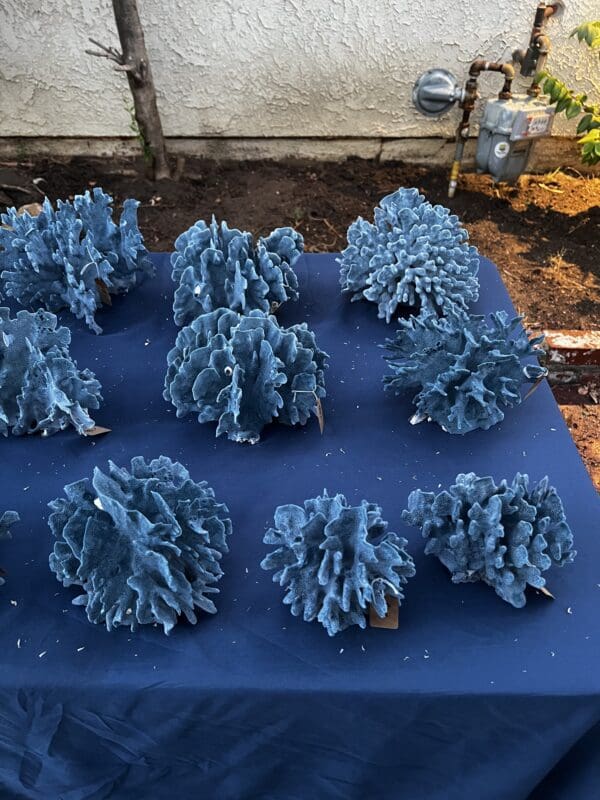 A blue table with many plants on it