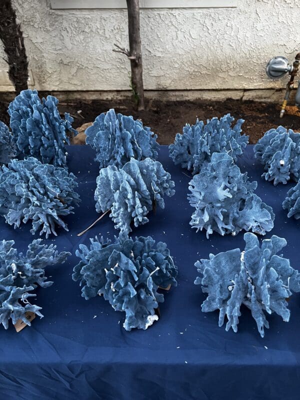 A group of blue trees sitting on top of a ground.