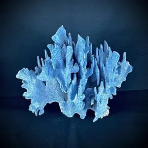 A blue coral sculpture on top of a black table.