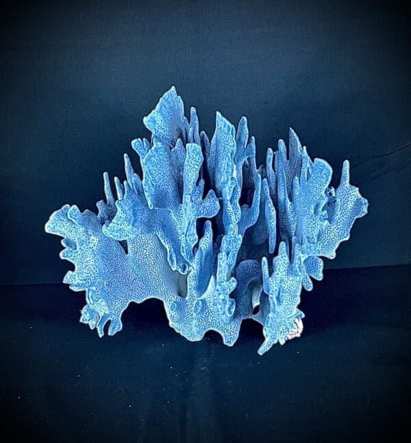 A blue coral sculpture on top of a black table.