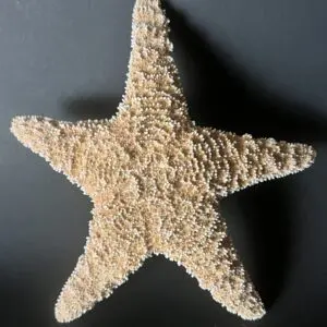 A star shaped object is shown on the table.