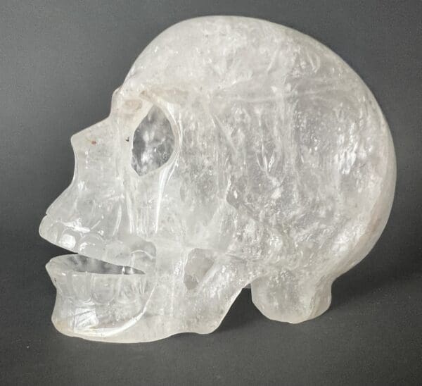 A clear skull is sitting on the ground.