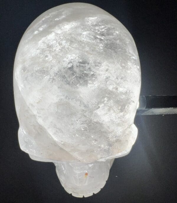 A close up of the head of an ice sculpture