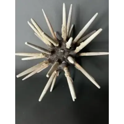 A close up of toothpicks arranged in the shape of a spiky flower.