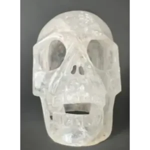 A skull made of plastic with the face cut out.