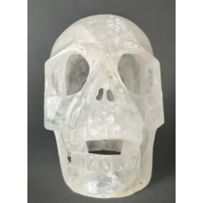 A skull made of plastic with the face cut out.