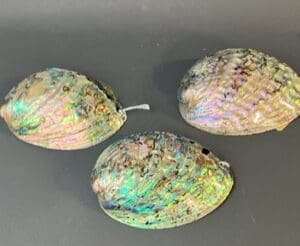 Three shells are sitting on a table.