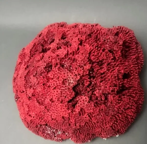 A red sponge sitting on top of a table.