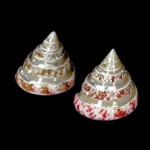 Two conical shaped dishes with a silver top.