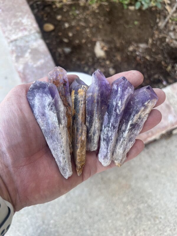 Four Baby Amethyst Dragon's Teeth Scepters-Bahia in a person's hand.