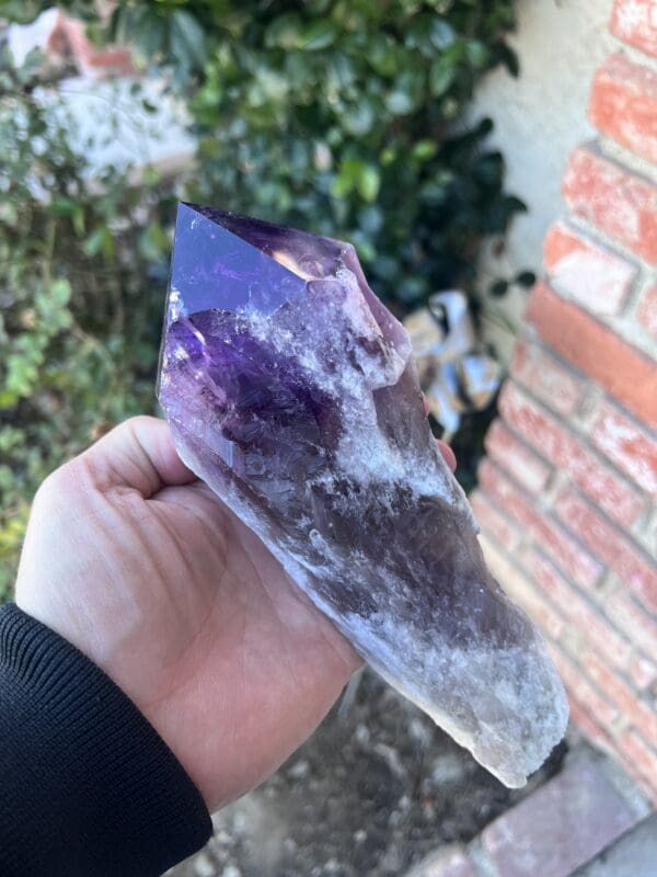 A person holding a Large Amethyst Dragon's Tooth Scepter From Bahia, Brazil 724 grams in their hand.