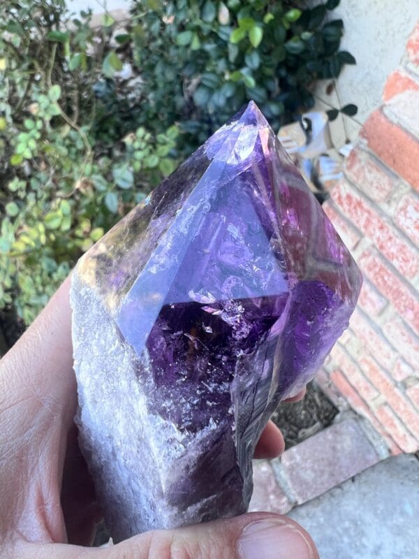 A person holding a Large Amethyst Dragon's Tooth Scepter From Bahia, Brazil 724 grams crystal.