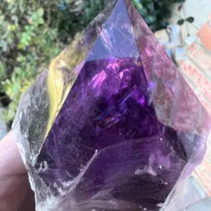 A person holding a Large Amethyst Dragon's Tooth Scepter From Bahia, Brazil 724 grams crystal.