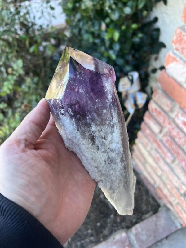 A person holding a Large Amethyst Dragon’s Tooth Scepter From Bahia, Brazil 584 grams.