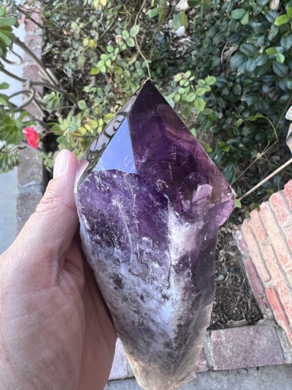 A person holding a large Amethyst Dragon’s Tooth Scepter From Bahia, Brazil 584 grams in their hand.