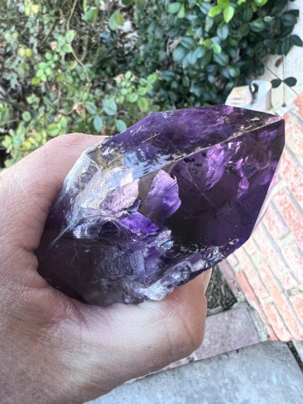 Sentence with Product Name: A person holding a large Amethyst Dragon’s Tooth Scepter From Bahia, Brazil 584 grams.