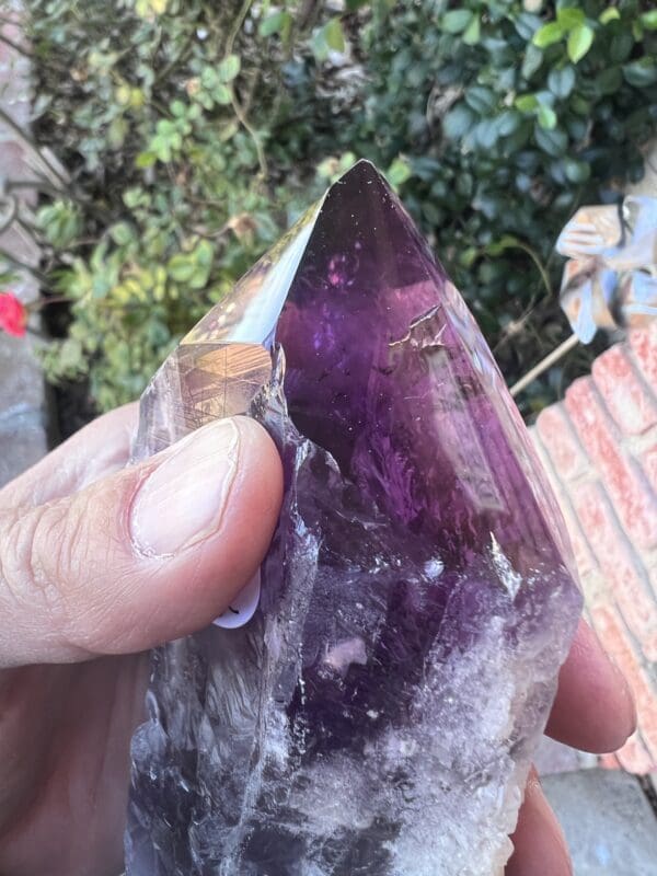 A person holding a large Amethyst Dragon’s Tooth Scepter From Bahia, Brazil 584 grams.