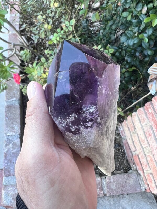 A person holding a Large Amethyst Dragon’s Tooth Scepter From Bahia, Brazil 584 grams.