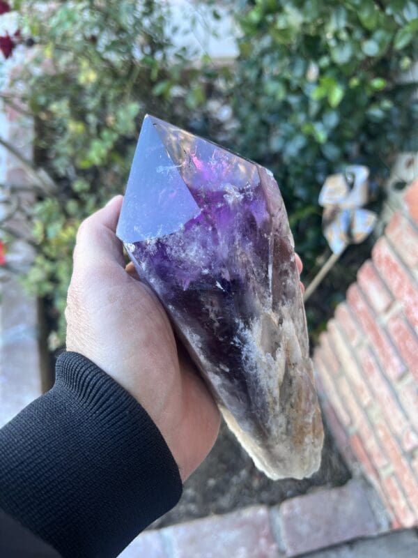 A person holding a large Large Amethyst Dragon’s Tooth Scepter From Bahia, Brazil 902 grams.