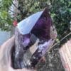 A person holding a Large Amethyst Dragon’s Tooth Scepter From Bahia, Brazil 902 grams in their hand.