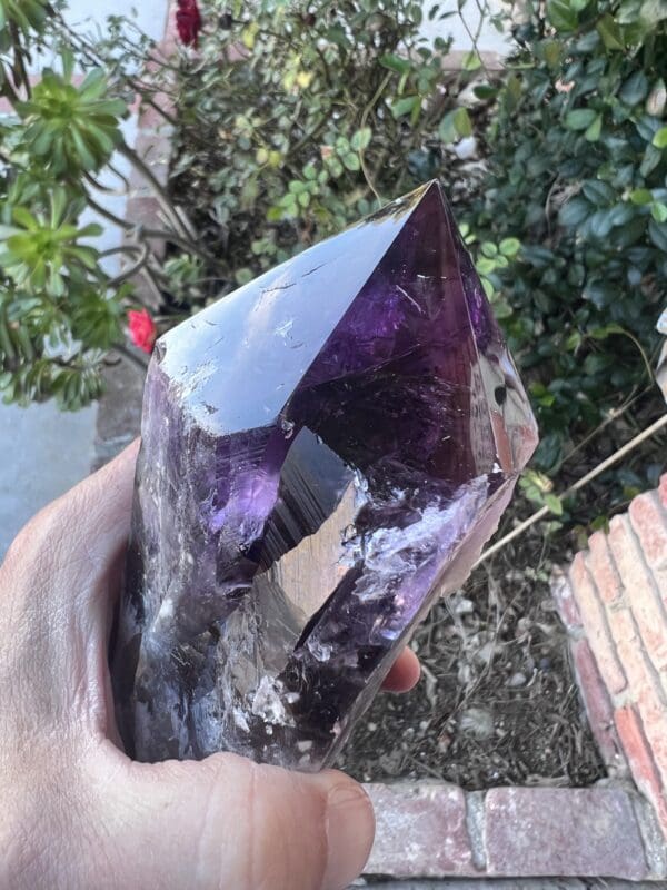 A person holding a Large Amethyst Dragon’s Tooth Scepter From Bahia, Brazil 902 grams in their hand.