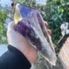 A person holding a Large Amethyst Dragon’s Tooth Scepter in their hand from Bahia, Brazil.