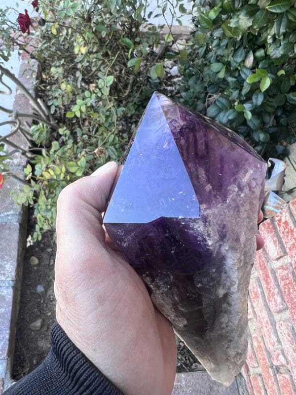 A person holding a Large Amethyst Dragon’s Tooth Scepter From Bahia, Brazil 840 grams.