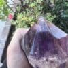 A person holding a Large Amethyst Dragon’s Tooth Scepter from Bahia, Brazil weighing 840 grams.