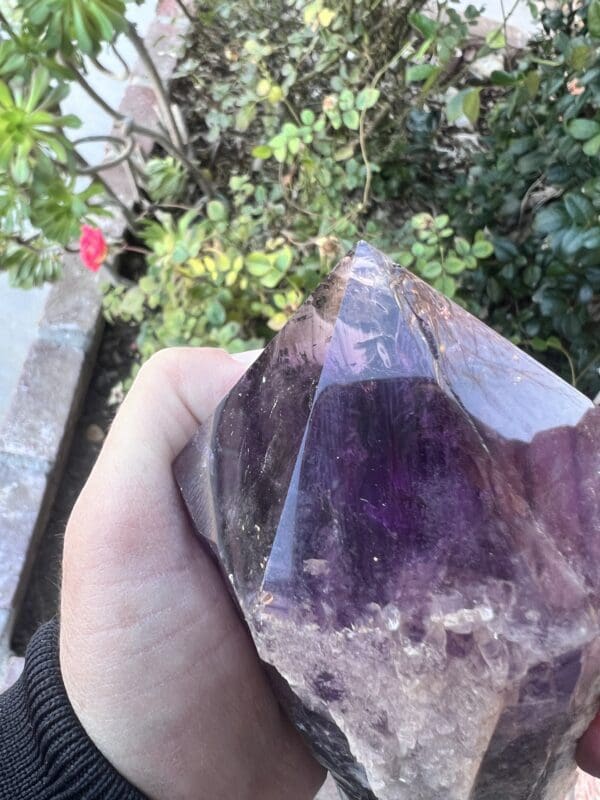 A person holding a Large Amethyst Dragon’s Tooth Scepter from Bahia, Brazil weighing 840 grams.