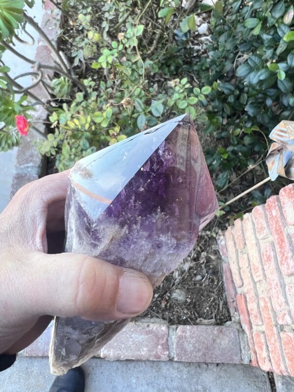 A person holding a Large Amethyst Dragon’s Tooth Scepter From Bahia, Brazil 840 grams.