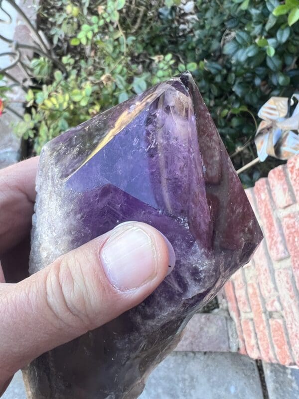 A person holding a Large Amethyst Dragon’s Tooth Scepter From Bahia, Brazil 840 grams.