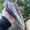 A person holding a Large Amethyst Dragon’s Tooth Scepter From Bahia, Brazil 840 grams.