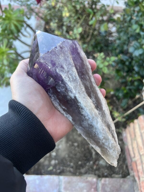 A person holding a Large Amethyst Dragon’s Tooth Scepter From Bahia, Brazil 840 grams.