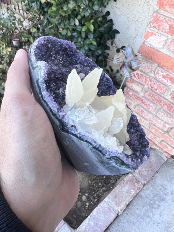 Amethyst crystals in a hand holding a rock with Uruguayan Amethyst Cut Base with Secondary Calcite 1,048 grams.