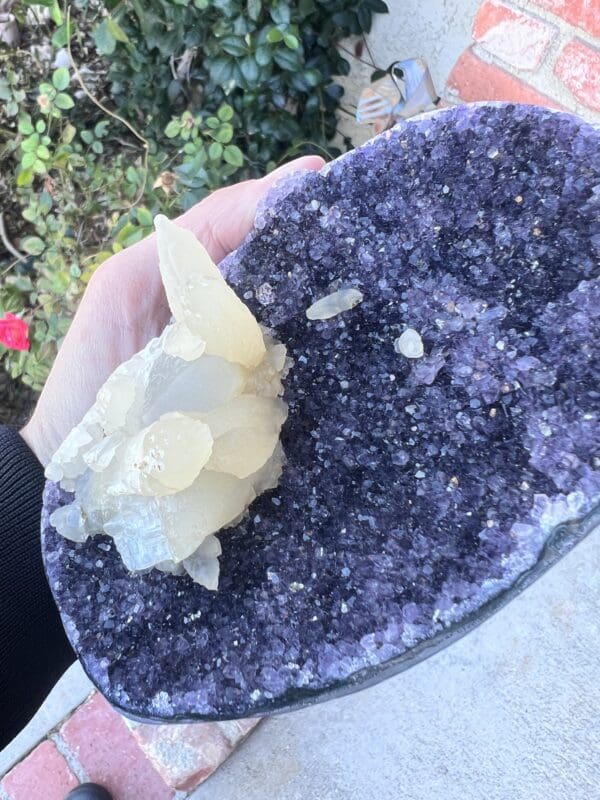 A person holding a piece of Uruguayan Amethyst Cut Base with Secondary Calcite 1,048 grams.