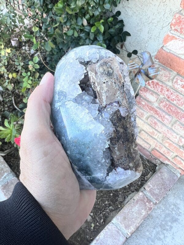 A person holding a Uruguayan Clear Quartz Cut Base Geode with Secondary Calcite that is covered in dirt.