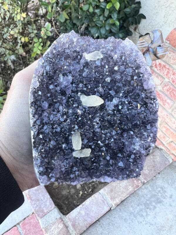 A person holding a piece of Uruguayan Amethyst Cut Base with Secondary Calcite 822 grams.