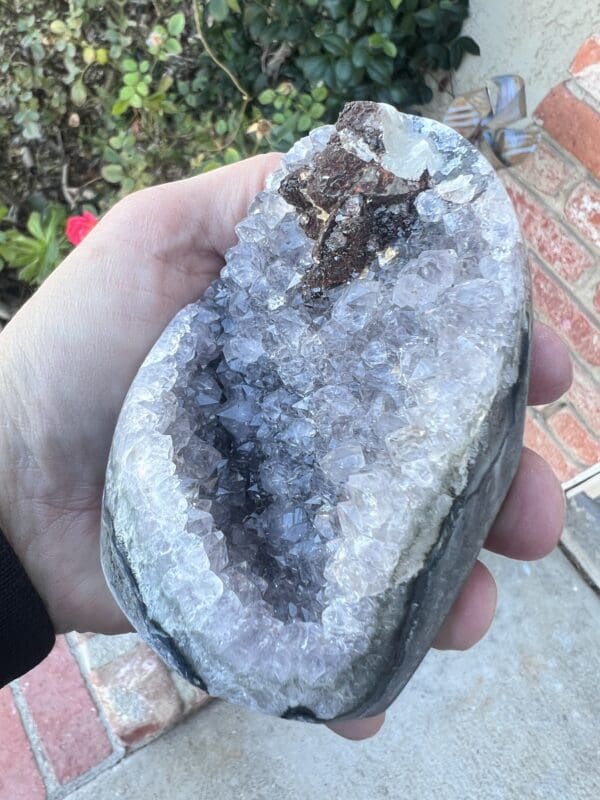 A person holding an Uruguayan Amethyst Cut Base with Secondary Calcite 412 grams.