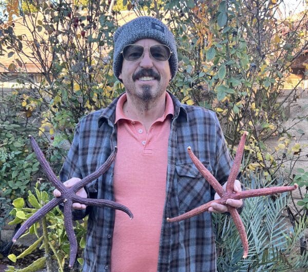 A man holding two Natural Red Linkia Sea Stars 12"-14" in his garden.