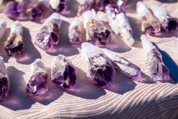 Baby Amethyst Dragon's Teeth Scepters-Bahia crystals are laid out on a table.