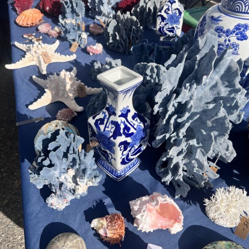 A table with blue and white vase, sea shells, and coral.